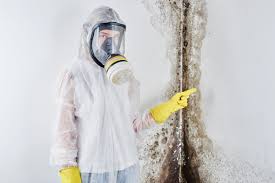 Environmental Consulting for Mold Prevention in Vienna Bend, LA